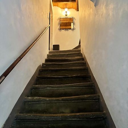 Navona Fox House Apartment Рим Екстериор снимка